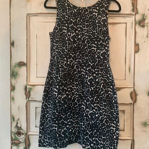 Teal and black leopard JCREW knee-length dress